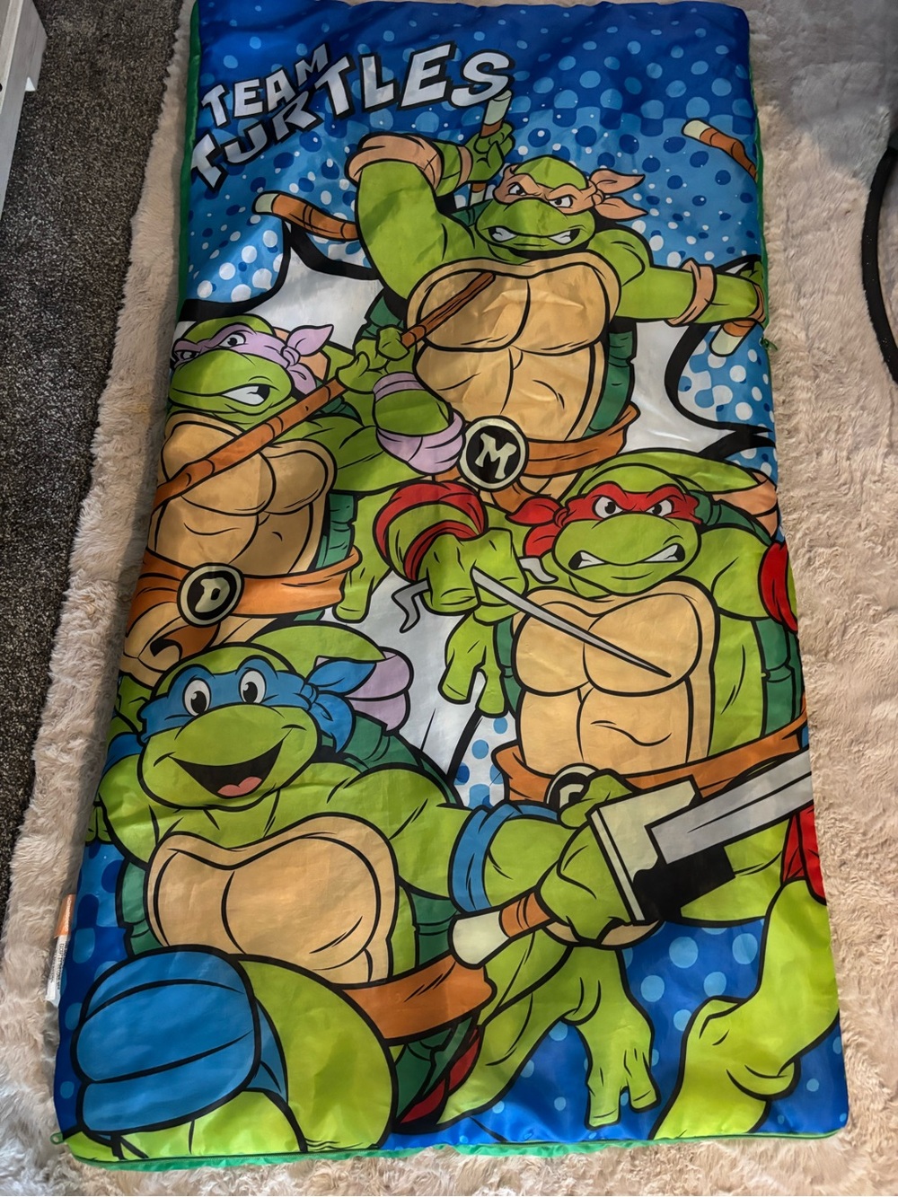Nickelodeon Green & Blue Character Print Sleeping Bag from August 2016